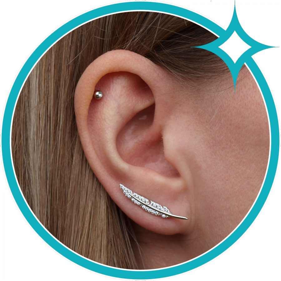 Oorklimmers veer van gerhodineerd zilver met zirkonia in pavézetting 8720514751183 EIP02-01-00311-1